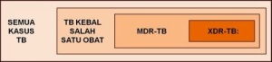 TB Overview B - MDR-XDR